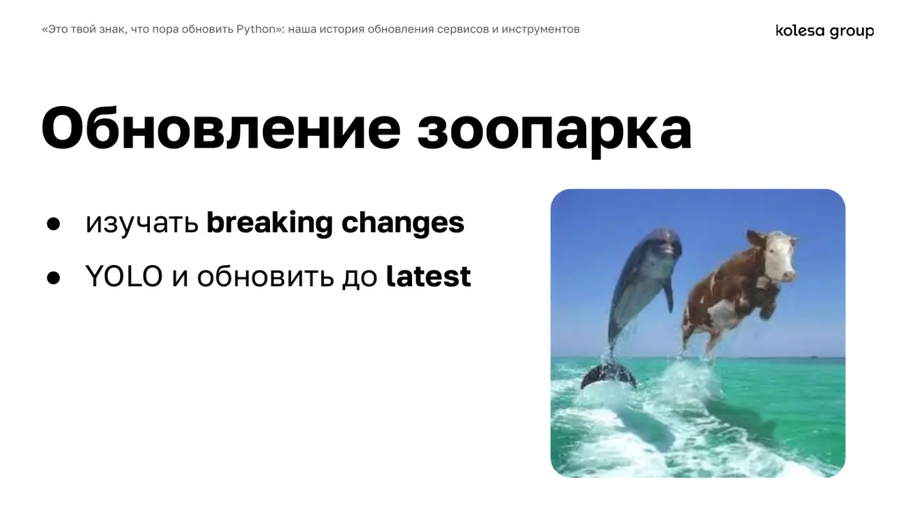 Слайд 19: Обновление зоопарка